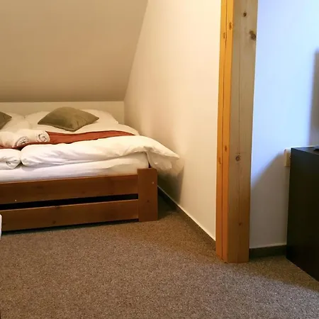 Guest house Rodinny U Soudku *